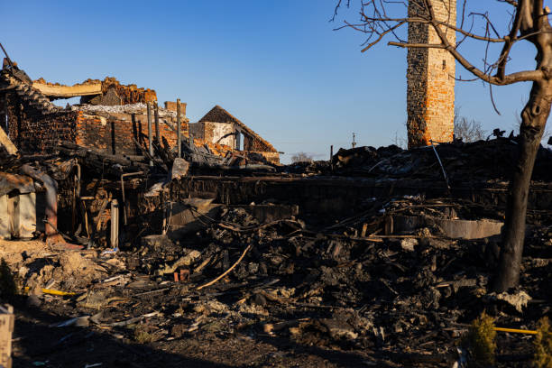 Reliable Content Restoration contractor in Hudson, FL by Meridian Smoke Damage